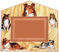 Picture Frame: Shetland Sheepdog