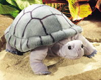 Turtle Plush Animal