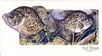 Crappie Shirts