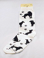 Socks: Dog