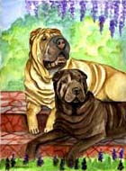 Shar-Pei Flag