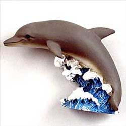Dolphin Magnet