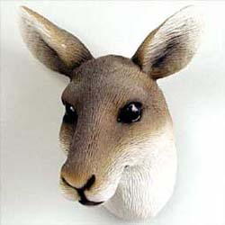 Kangaroo Magnet