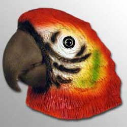Parrot Magnet