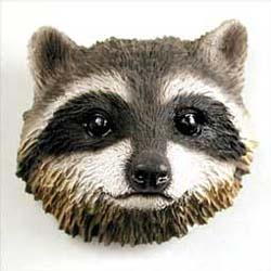 Magnet: Raccoon
