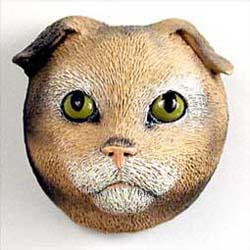 Scottish Fold Cat Magnet
