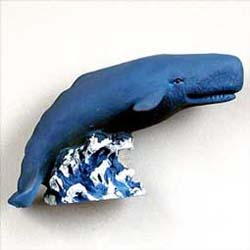 Whale Magnet