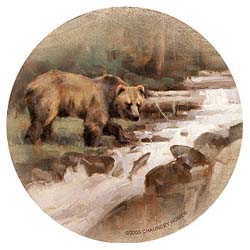 Grizzly Bear Coasters