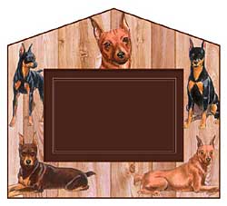 Miniature Pinscher History2