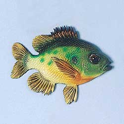 Sunfish Magnet