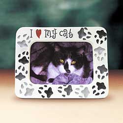 Picture Frame: Cat