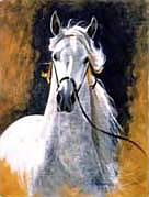 White Horse Flag