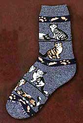 Tabby Cat Socks