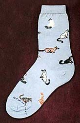 Siamese Cat Socks