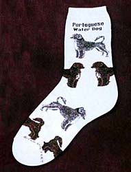 Socks: Portuguese Water Dog