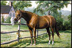 Quarter Horse Welcome Mat
