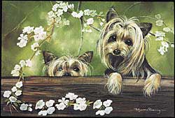 Floormat: Yorkshire Terrier