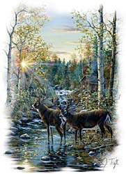 Shirts: Deer