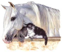 White Horse Shirts