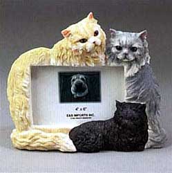 Persian Cat Picture Frame