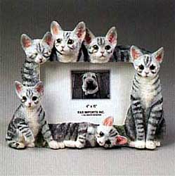 Tabby Cat Picture Frame