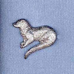 Jewelry - Pin: River Otter