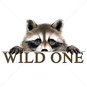 Shirts: Raccoon