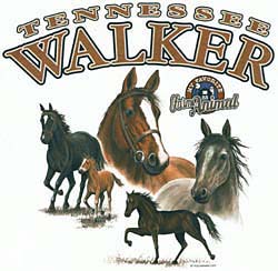 Tennessee Walking Horse Shirts