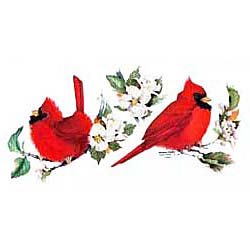 Cardinal T-Shirts