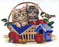 Shirts: Cat