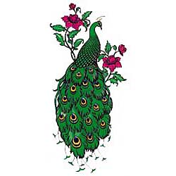 Shirts: Peacock