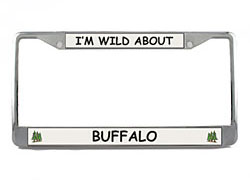 License Plate Frame: Buffalo