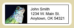 Iguana Address Labels