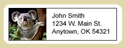 Address Labels: Koala