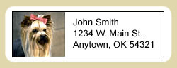 Address Labels: Yorkshire Terrier
