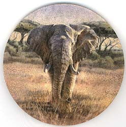 Elephant Coasters