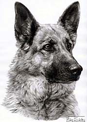 Shirts: German Shepherd