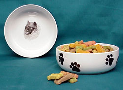 "Pet Bowl: Keeshond"