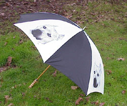 Umbrella: American Staffordshire Terrier