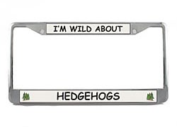 Hedgehog License Plate Frame