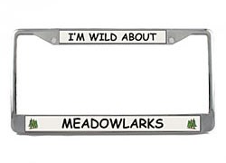 Meadowlark License Plate Frame