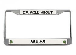 Mule License Plate Frame