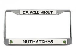 Nuthatch License Plate Frame