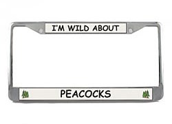 Peacock License Plate Frame