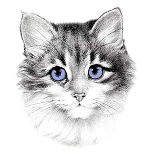 Cat T-Shirt - Cats Need Love