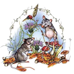 Mouse T-Shirt - Scenic