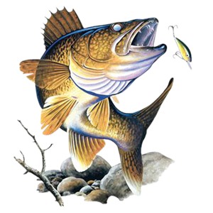 Walleye T-Shirt - Collage