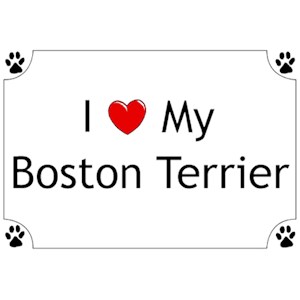 Boston Terrier T-Shirt - I love my