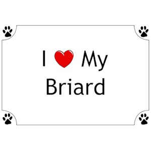 Briard T-Shirt - I love my