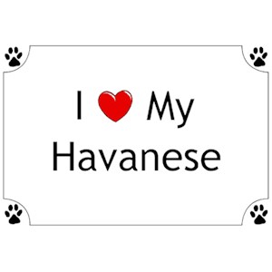 Havanese T-Shirt - I love my